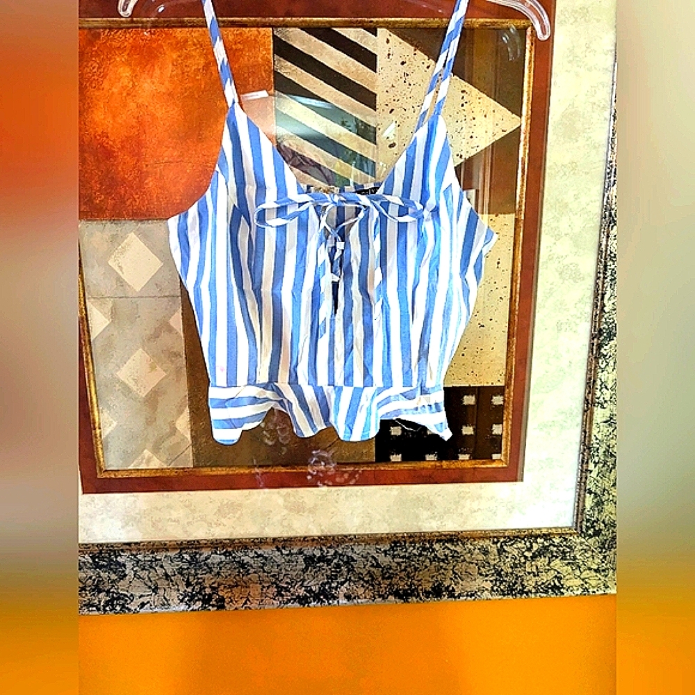 Privy Blue and White Striped Crop Top